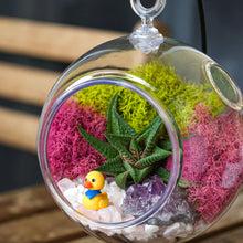 Carregar imagem no visualizador da galeria, 5" Acrylic Globe Succulent Terrarium Kit (Kid Friendly)