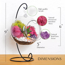 Carregar imagem no visualizador da galeria, 5" Acrylic Globe Succulent Terrarium Kit (Kid Friendly)