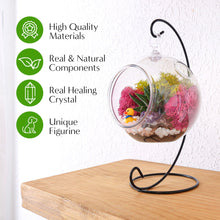 Carregar imagem no visualizador da galeria, 5" Acrylic Globe Succulent Terrarium Kit (Kid Friendly)