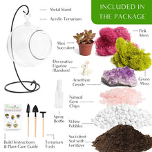 Carregar imagem no visualizador da galeria, 5" Acrylic Globe Succulent Terrarium Kit (Kid Friendly)