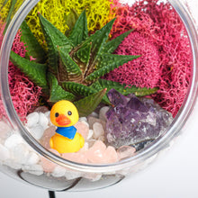 Carregar imagem no visualizador da galeria, 5" Acrylic Globe Succulent Terrarium Kit (Kid Friendly)
