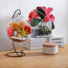 Carregar imagem no visualizador da galeria, 5" Glass Globe Succulent Terrarium Kit