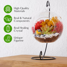 Carregar imagem no visualizador da galeria, 5" Glass Globe Succulent Terrarium Kit