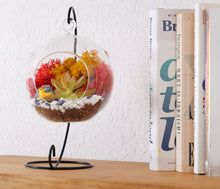 Carregar imagem no visualizador da galeria, 5" Glass Globe Succulent Terrarium Kit