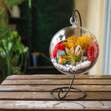 Carregar imagem no visualizador da galeria, 5" Glass Globe Succulent Terrarium Kit