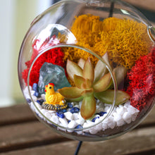 Carregar imagem no visualizador da galeria, 5" Glass Globe Succulent Terrarium Kit