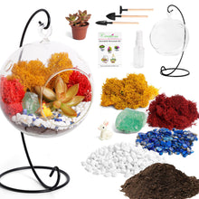 Carregar imagem no visualizador da galeria, 5" Glass Globe Succulent Terrarium Kit