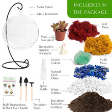 Carregar imagem no visualizador da galeria, 5" Glass Globe Succulent Terrarium Kit