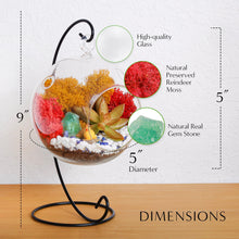 Carregar imagem no visualizador da galeria, 5" Glass Globe Succulent Terrarium Kit