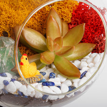 Carregar imagem no visualizador da galeria, 5" Glass Globe Succulent Terrarium Kit
