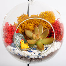 Carregar imagem no visualizador da galeria, 5" Glass Globe Succulent Terrarium Kit