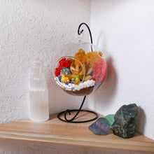 Carregar imagem no visualizador da galeria, 5" Glass Globe Succulent Terrarium Kit