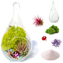 Carregar imagem no visualizador da galeria, 5" Glass Tear Drop Air Plant Terrarium Kit