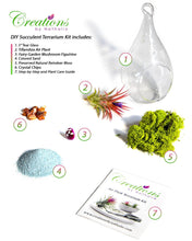 Carregar imagem no visualizador da galeria, 5" Glass Tear Drop Air Plant Terrarium Kit