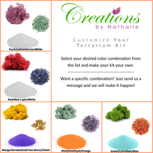 Carregar imagem no visualizador da galeria, 5" Glass Tear Drop Air Plant Terrarium Kit