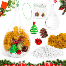 Carregar imagem no visualizador da galeria, 5" Glass Teardrop Holiday Ornament Terrarium Kit