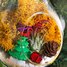 Carregar imagem no visualizador da galeria, 5" Glass Teardrop Holiday Ornament Terrarium Kit