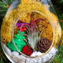 Carregar imagem no visualizador da galeria, 5" Glass Teardrop Holiday Ornament Terrarium Kit