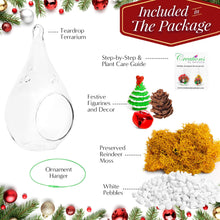 Carregar imagem no visualizador da galeria, 5" Glass Teardrop Holiday Ornament Terrarium Kit