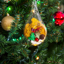 Carregar imagem no visualizador da galeria, 5" Glass Teardrop Holiday Ornament Terrarium Kit