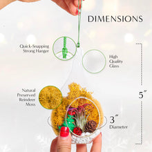 Carregar imagem no visualizador da galeria, 5" Glass Teardrop Holiday Ornament Terrarium Kit