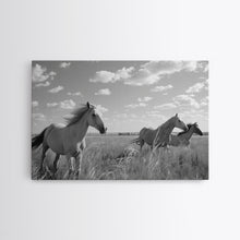 Carregar imagem no visualizador da galeria, Fine Art Framed Canvas Print, Metal Art, Black & White Photo of Wild Mustangs, Horse Art, American Horses Landscape / Nature / Wildlife Art