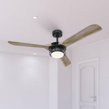 Carregar imagem no visualizador da galeria, 52" Aerofanture Industrial DC Motor Downrod Mount Reversible Ceiling Fan with Lighting and Remote Control