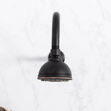 Carregar imagem no visualizador da galeria, 16 in. High-Arc Hook Shower Head Extension Arm (Oil-Rubbed Bronze Finish)
