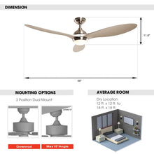 Carregar imagem no visualizador da galeria, 56" Bernardino Modern Brushed Nickel DC Motor Downrod Mount Reversible Ceiling Fan with Lighting and Remote Control