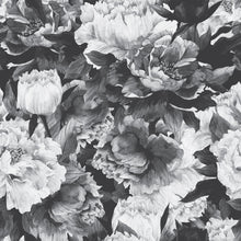 Carregar imagem no visualizador da galeria, Avril Wallpaper