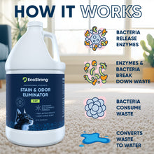 Cargar imagen en el visor de la galería, Cat Stain and Odor Eliminator
