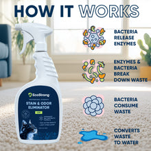 Cargar imagen en el visor de la galería, Cat Stain and Odor Eliminator