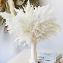 Carregar imagem no visualizador da galeria, Pampas Grass Bouquet (Set of 5)