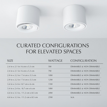 Load image into Gallery viewer, Jannis Downlight