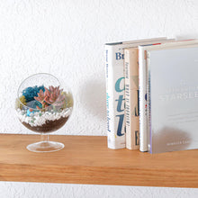 Carregar imagem no visualizador da galeria, 6" Glass Chalice Succulent Terrarium Kit