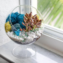 Carregar imagem no visualizador da galeria, 6" Glass Chalice Succulent Terrarium Kit