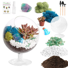 Carregar imagem no visualizador da galeria, 6" Glass Chalice Succulent Terrarium Kit