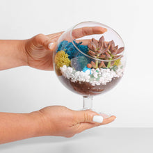 Carregar imagem no visualizador da galeria, 6" Glass Chalice Succulent Terrarium Kit