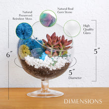 Carregar imagem no visualizador da galeria, 6" Glass Chalice Succulent Terrarium Kit