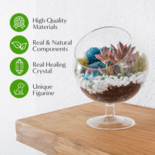 Carregar imagem no visualizador da galeria, 6" Glass Chalice Succulent Terrarium Kit