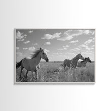 Carregar imagem no visualizador da galeria, Fine Art Framed Canvas Print, Metal Art, Black & White Photo of Wild Mustangs, Horse Art, American Horses Landscape / Nature / Wildlife Art