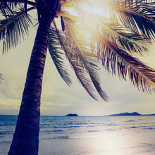 Carregar imagem no visualizador da galeria, Beach Palm Tree Coastline Sunset Wall Mural #6040