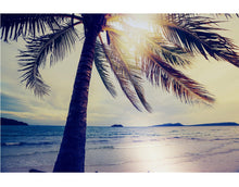 Carregar imagem no visualizador da galeria, Beach Palm Tree Coastline Sunset Wall Mural #6040