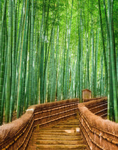 Carregar imagem no visualizador da galeria, Japanese Bamboo Forest Arashiyama Woods Wall Mural #6043