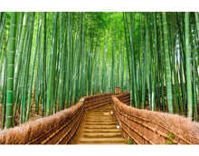 Carregar imagem no visualizador da galeria, Japanese Bamboo Forest Arashiyama Woods Wall Mural #6043