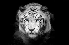 Carregar imagem no visualizador da galeria, Tiger Stare Down Large Mural (Black and White) #6045