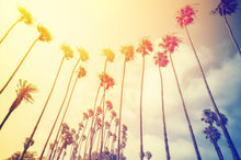 Carregar imagem no visualizador da galeria, Retro California Sunset Palmtree Wall Mural #6050