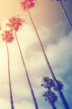 Carregar imagem no visualizador da galeria, Retro California Sunset Palmtree Wall Mural #6050