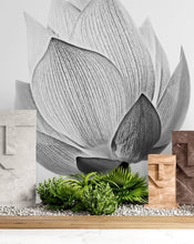 Carregar imagem no visualizador da galeria, Black and White Lotus Flower Wall Mural #6116