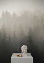Carregar imagem no visualizador da galeria, Misty Pine Forest Wall Mural. Peaceful Foggy Morning Scenery. #6122